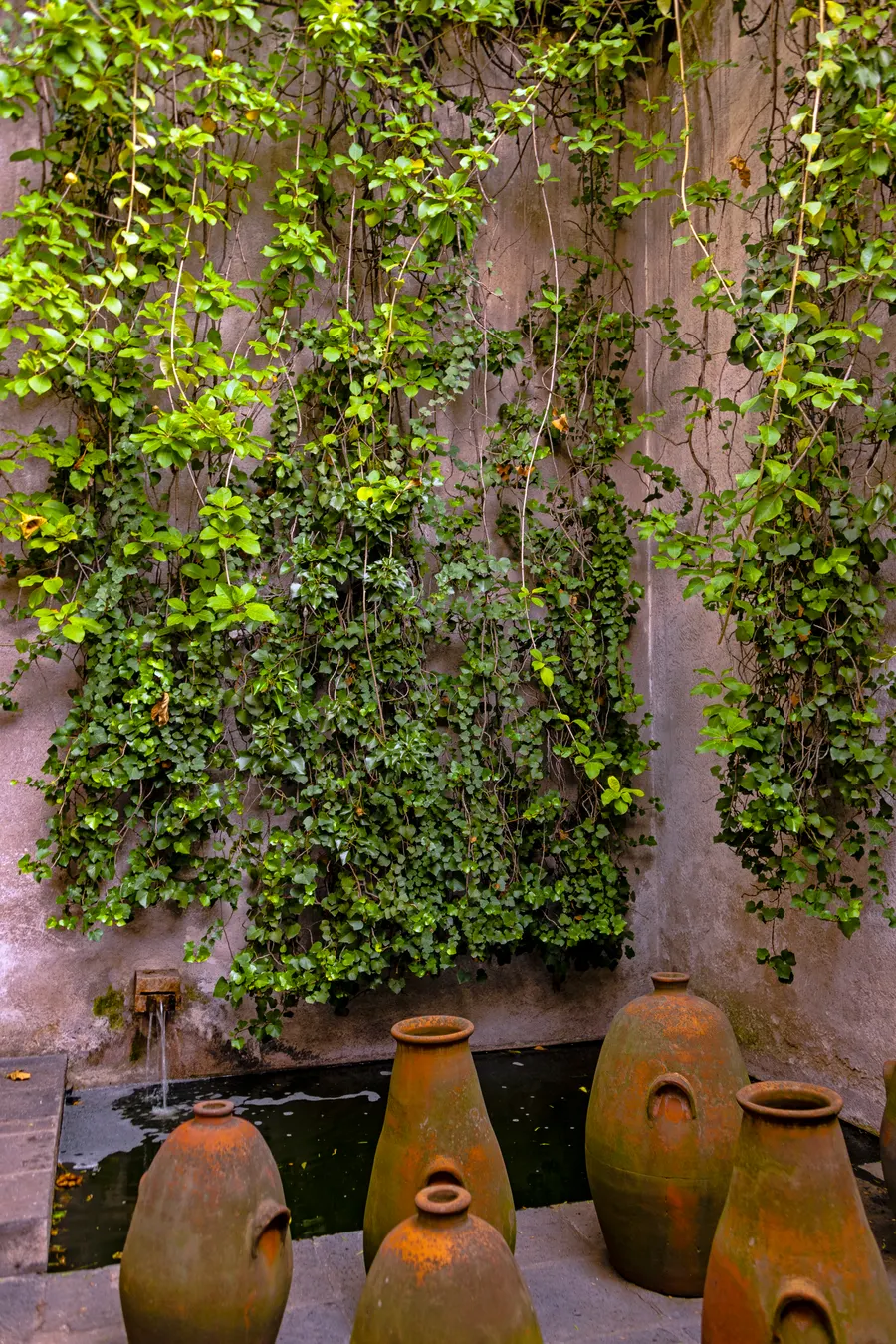 Earthen jugs beside a small fountain under a wall of climbing plants outside Casa Luis Barragán
