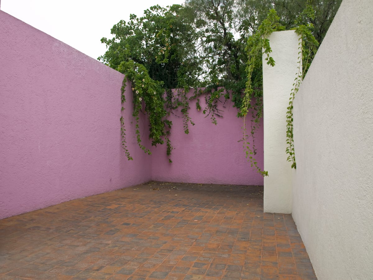 The roof terrace of Casa Luis Barragán, closed in by a pink wall and a white wall, with greenery spilling over under the sky